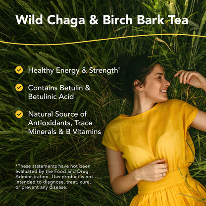 NORTH AMERICAN HERB & SPICE Chag-o-Charge - 3.2 oz. - Chaga Mushroom & Birch Bark Tea - Energy & Strength, Antioxidant - 45 Servings