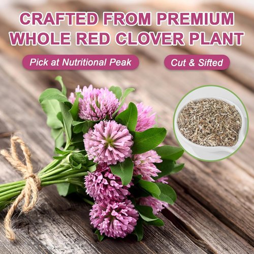 Fullchea Red Clover Tea Bags - 50 Non-GMO Teabags | Caffeine-Free Herbal Blend Rich in Antioxidants
