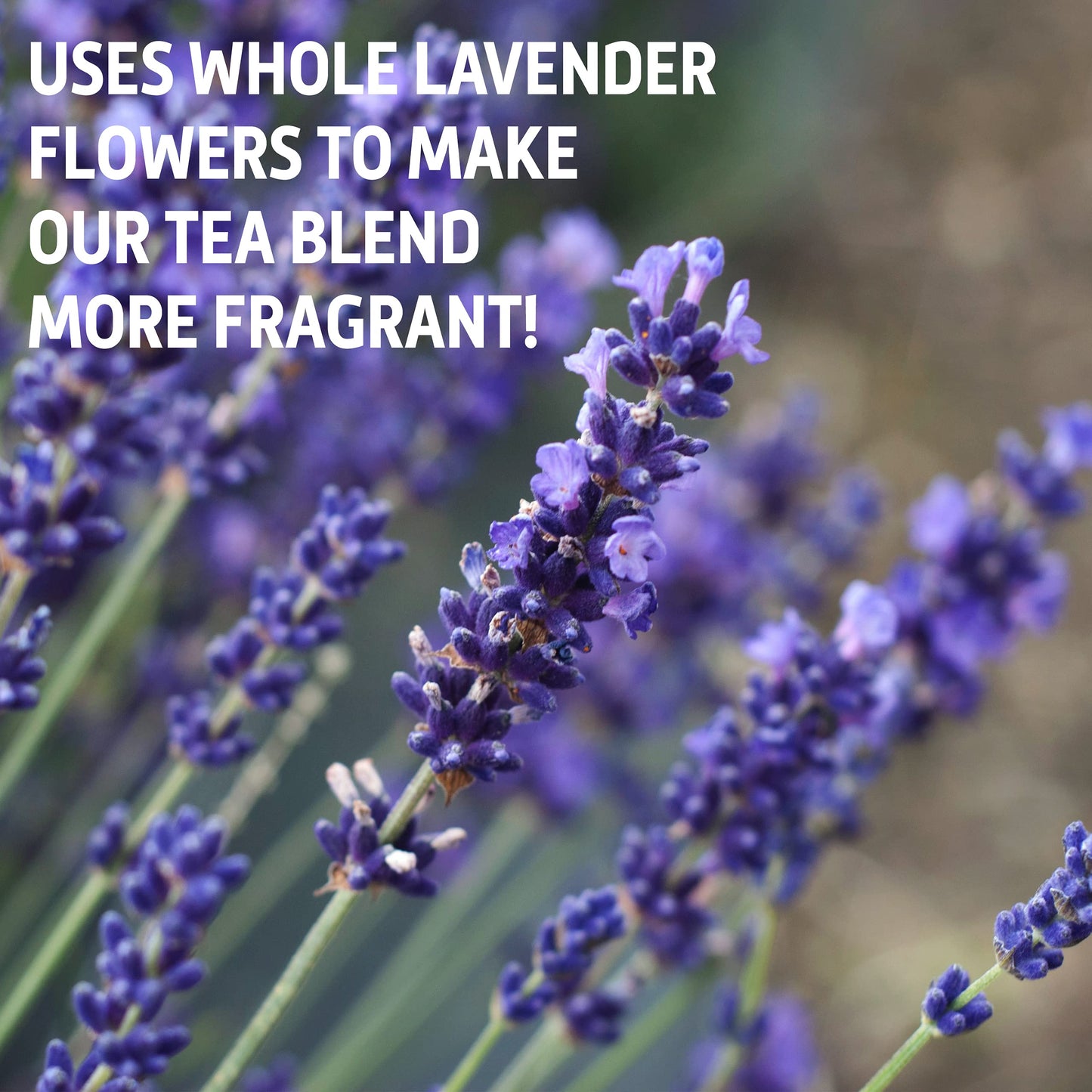 Sou Zen Earl Grey Lavender Tea Loose Leaf Blend 4oz (113g) | Premium Quality Tea Leaves and Flowers | Raw and Naturally Organic Ingredients | Energizing and Revitalizing Tea with No Additives