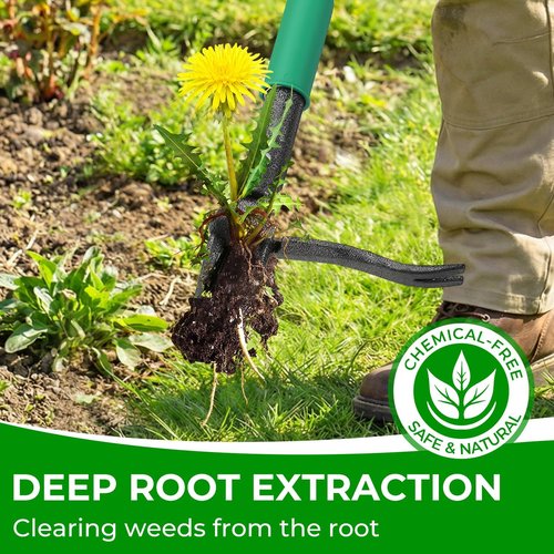 Garden Weeder Tool - Heavy Duty 43.7in Stand-Up Dandelion Remover with 2 Weed Eject Feature & Bamboo Handle