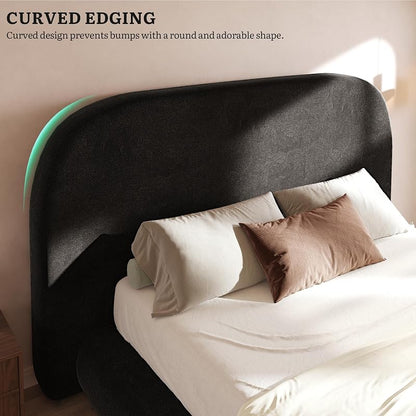 Queen Size Cloud Bed Frame with Headboard - Curved Velvet Upholstered Bed, Black