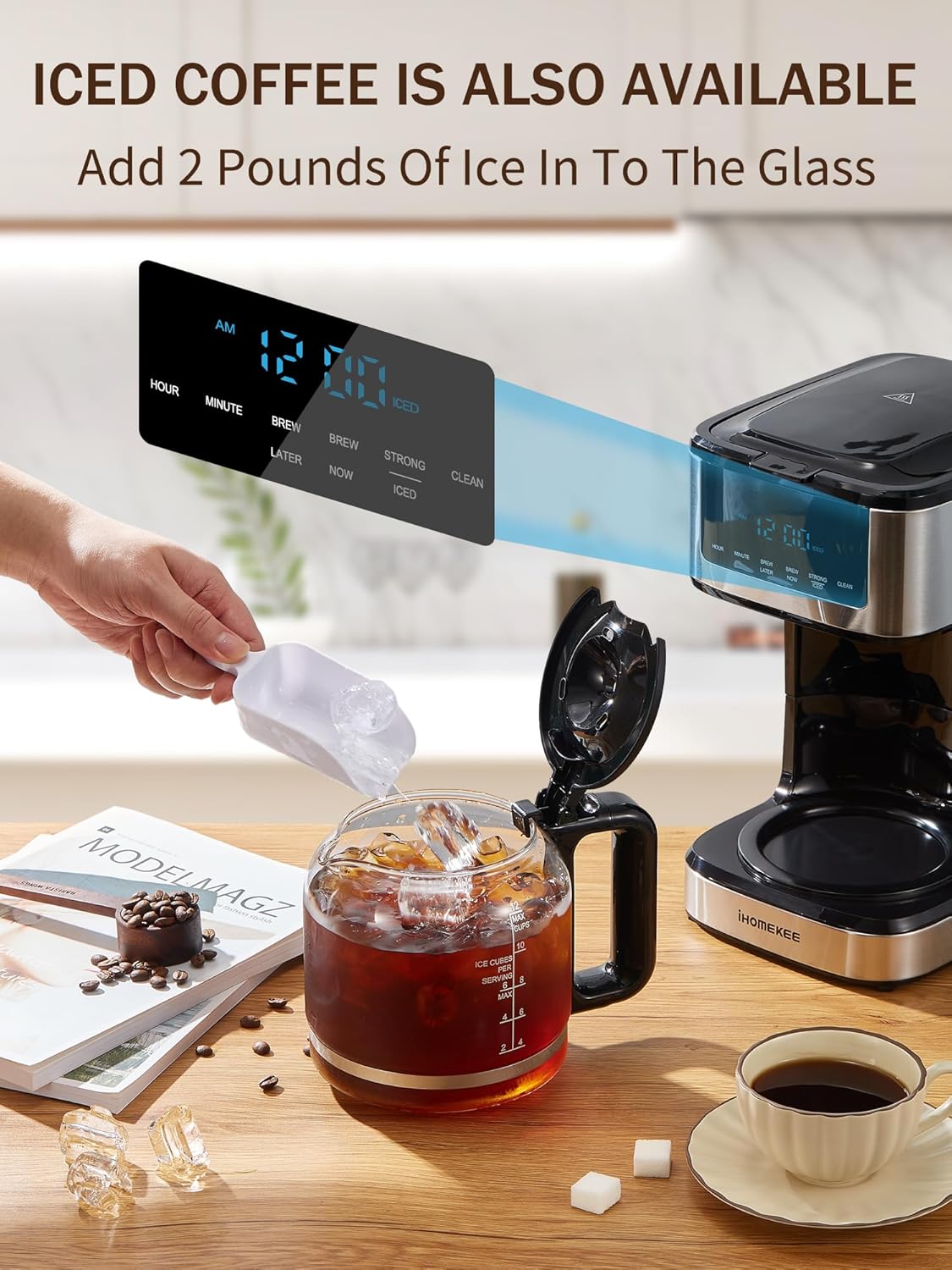 Skiennix Programmable Drip Coffee Maker - 12 Cup Capacity with Iced Coffee Function | Black & Stainless Steel