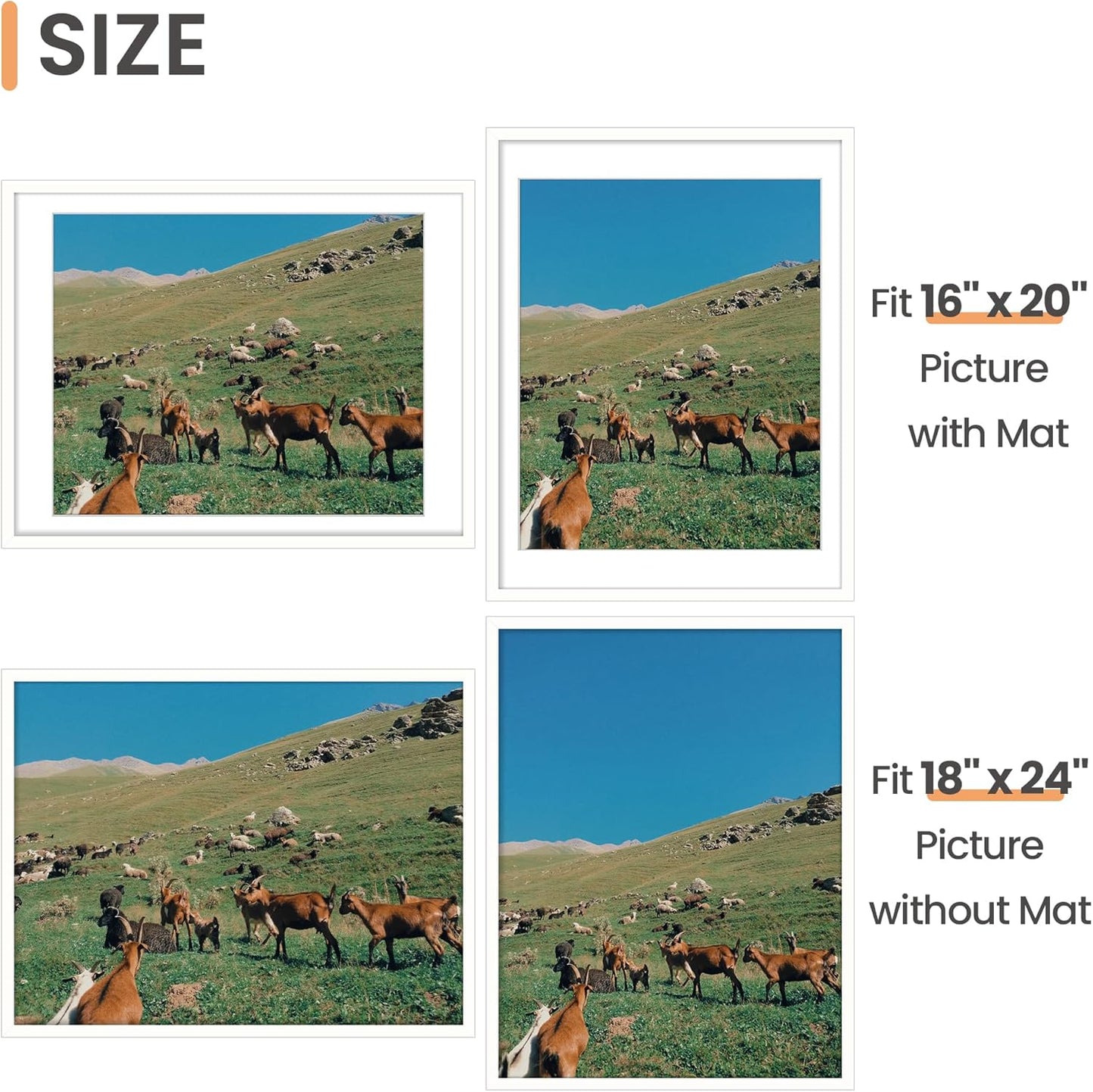 Upsimples 18x24 Picture Frame - Versatile Display for 16x20 Photos with Mat or 18x24 Without - White