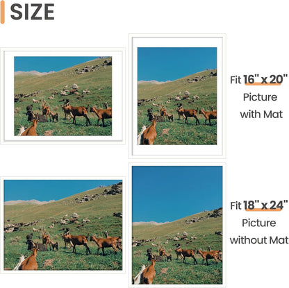 Upsimples 18x24 Picture Frame - Versatile Display for 16x20 Photos with Mat or 18x24 Without - White