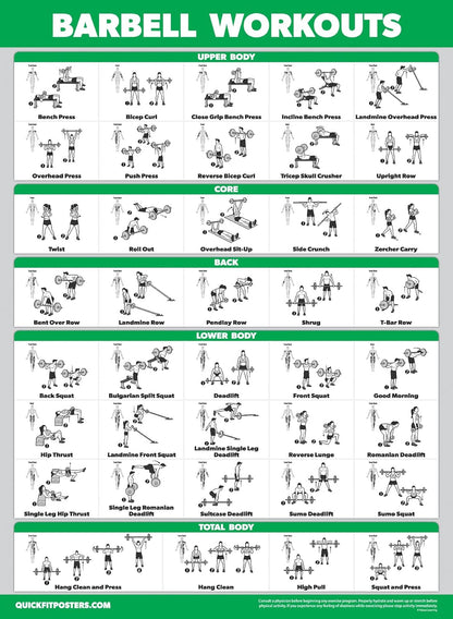 Palace Learning 4 Pack - Laminated Workout Charts for Dumbbell, Barbell, Bodyweight & Kettlebell | 18” x 24”