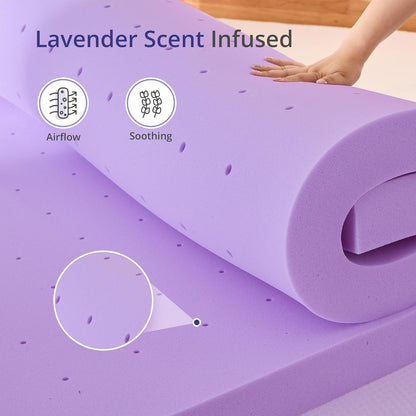 Regine Switzerland Twin Lavender Scented Memory Foam Mattress Topper - Pressure Relief & Cooling, 38"x75"