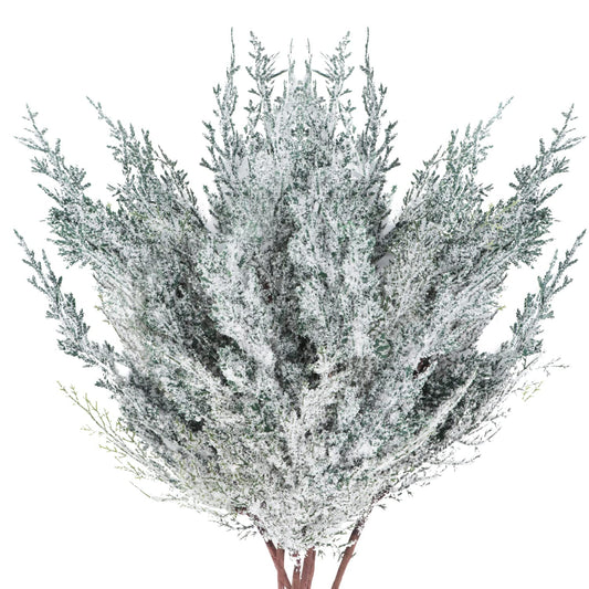 6 Pieces Frosted Artificial Cedar Pine Branches Sprigs 17" Snowy Faux Cedar Twig White Winter Greenery Stems Pine Picks Cedar Spray for Christmas Tree Craft Wreaths Garlands Holiday Season Decor (6)