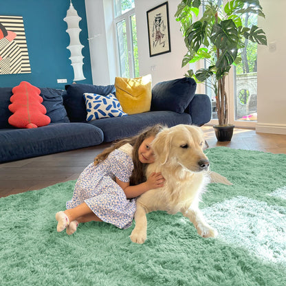 OLANLY 9x12 Machine Washable Large Area Rugs for Living Room, Bedroom, Soft Fluffy Shaggy Bedside Rug, Indoor Floor Carpet for Kids Girls and Boys, Dorms, Nursery, Home Decor Aesthetic, Mint Green