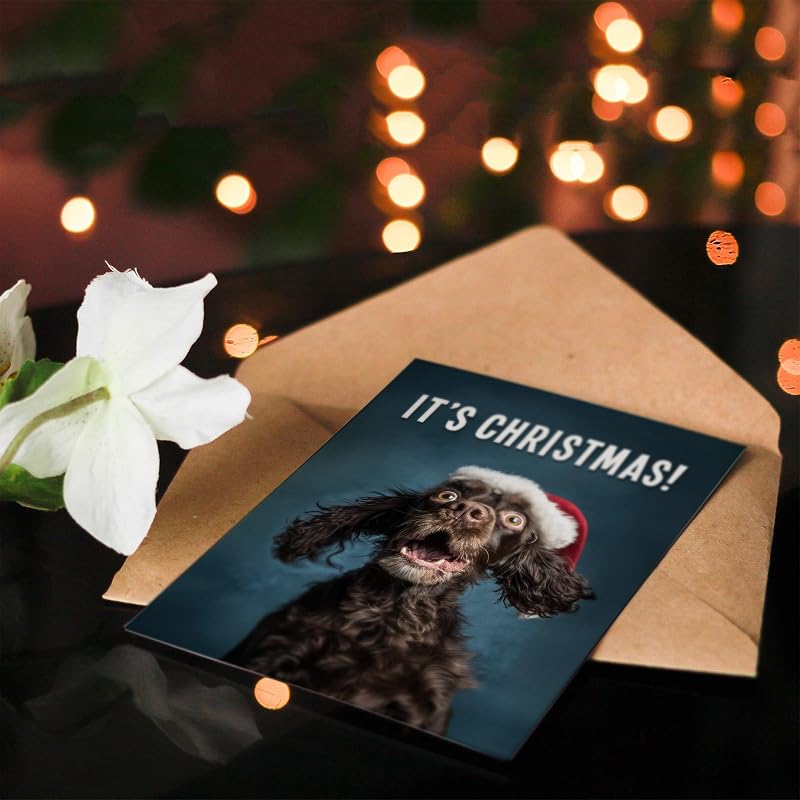 Cocker Spaniel Christmas Card in Santa Hat - Blank Inside Card
