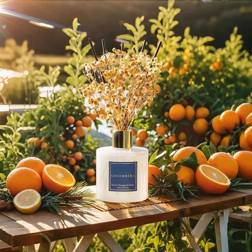 COCORRÍNA Reed Diffuser - Sweet Orange & Cedar Aroma | 6.7 Fl. Oz Set with Sticks & Baby's Breath Decor