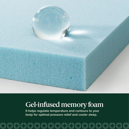 Zinus 6 Inch Full Memory Foam Mattress - Cooling, Fiberglass-Free, Medium Feel, Safe Materials