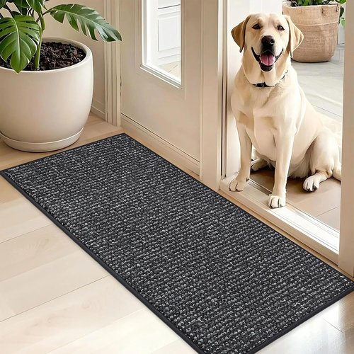 BEQHAUSE Dirt Trapper Door Mat - Non-Slip, Washable, Absorbent Entrance Mat | 20" x 48", Charcoal