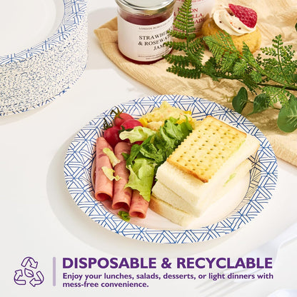 Regine Switzerland Disposable Paper Plates - Heavy Duty 8.5 Inch, Soak Proof, 300 Count for Parties & Picnics
