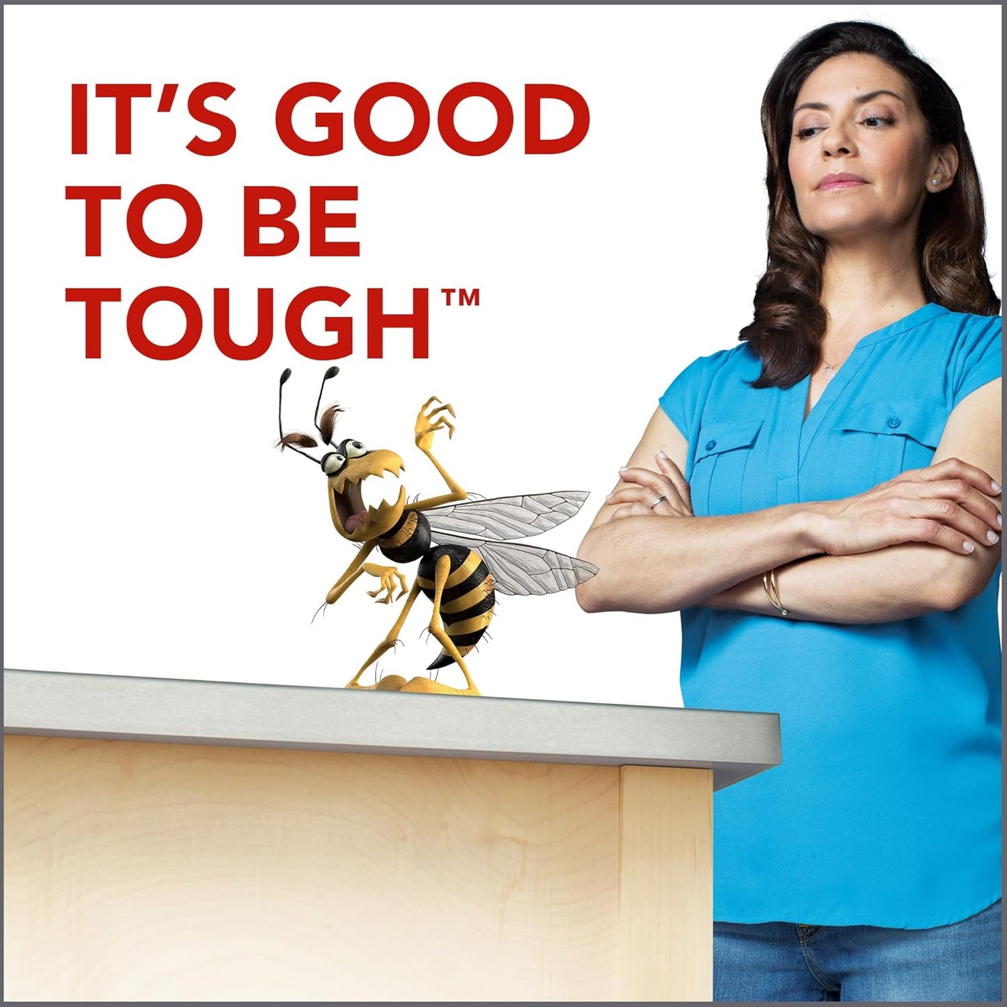 Raid Wasp & Hornet Killer Spray - Effectively Eliminates Nests & Stinging Insects | 13 oz