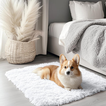 OLANLY 2x3 Machine Washable Small Bedside Rug, Soft Fluffy Shaggy Entryway Throw Rugs for Bedroom, Living Room, Indoor Floor Carpet for Kids Girls and Boys, Nursery Rooms, Home Decor Aesthetic, White