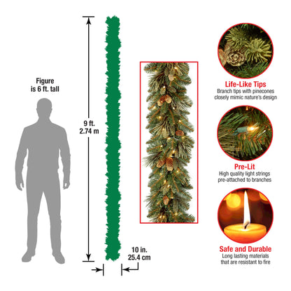National Tree Company Pre-Lit Artificial Christmas Garland, Green, Carolina Pine, White Lights, Decorated with Pine Cones, Plug In, Christmas Collection, 9 Feet