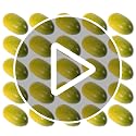 40pcs Artificial Olive Fruits for Food Display & Craft Decor