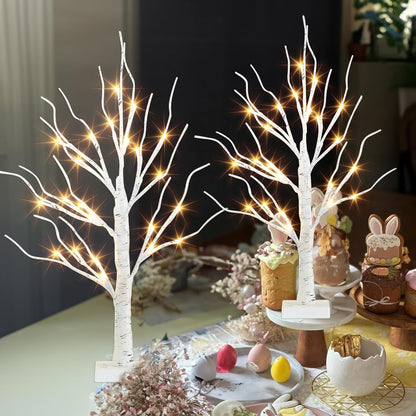 PEIDUO 2FT Birch Tree LED Light Decoration - Warm White Easter Table Lamp | Battery Powered, Timer (2PK)