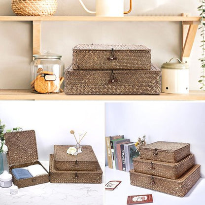 Hipiwe Wicker Storage Baskets - Set of 3 Handwoven Seagrass Bins with Lids | Large 14.8"x13" Coffee