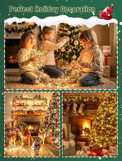 Hopolon Clear Christmas Lights Set - 50 Count Mini String Lights on Green Wire - 13 Feet for Indoor/Outdoor Decor