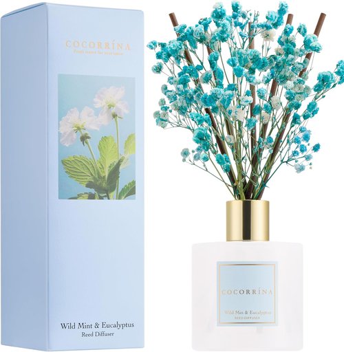 Cocorrína Reed Diffuser - Wild Mint & Eucalyptus | 6.7 Fl. Oz Set with Sticks & Preserved Baby's Breath for Home Decor