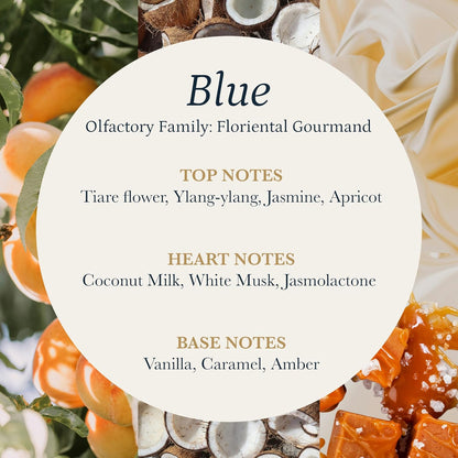 PuroSentido Blue Aroma Oil - Luxury Essential Oil for Diffusers | Apricot, Coconut Milk & Vanilla (10 ml)