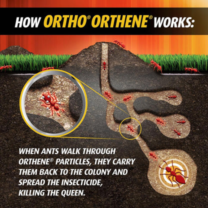 Ortho Orthene Fire Ant Killer - Effective Mound Treatment, Kills Queens, No Watering Needed | 12 oz. (2-Pack)
