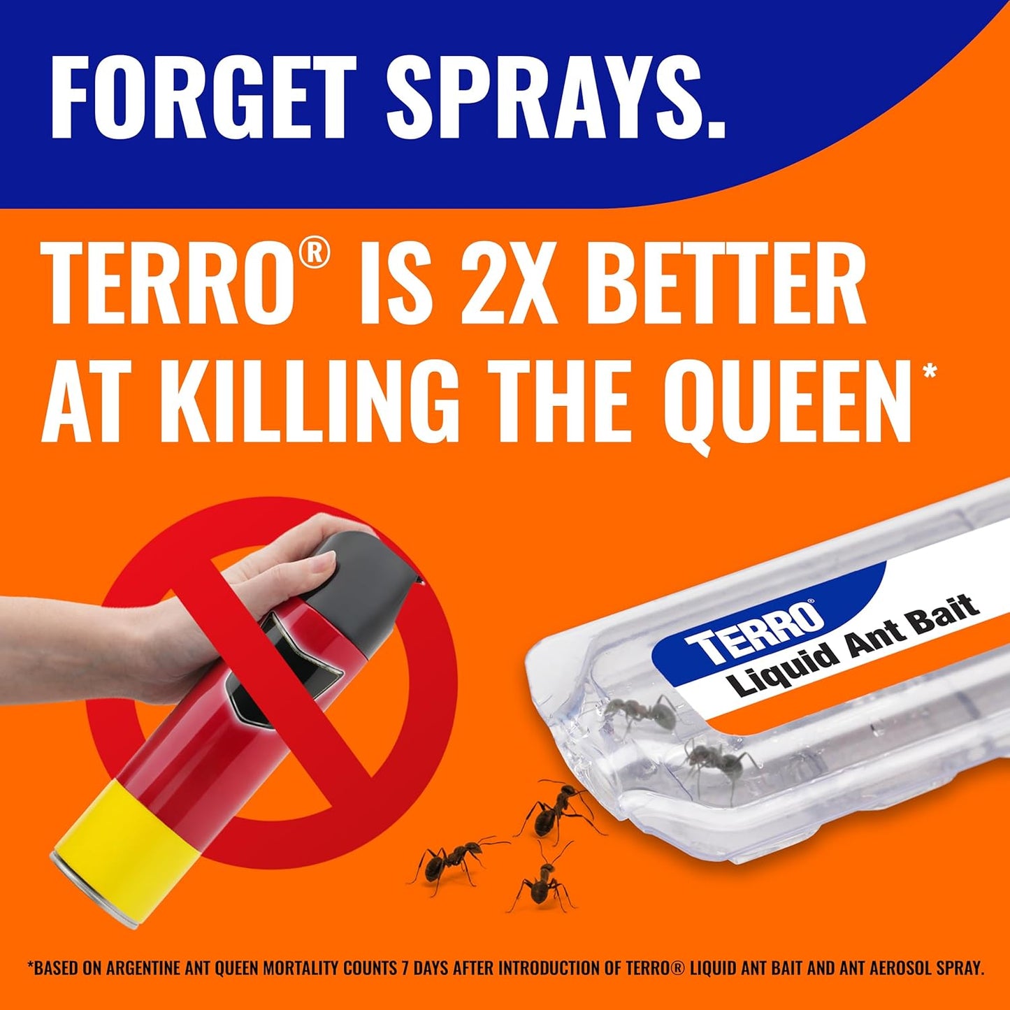 TERRO Ant Killer Bait Stations T300B - Liquid Bait for Effective Indoor Ant Control - 12 Count