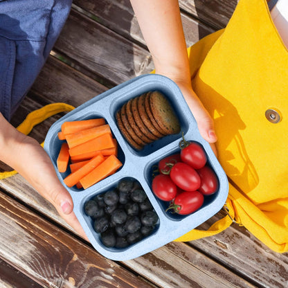 PKXPAO Snackle Box Container,Meal Prep Containers Reusable, 4 Compartments Meal Prep Lunch Containers for Kids Adults, Divided Food Storage Containers for School Work Travel (Blue)