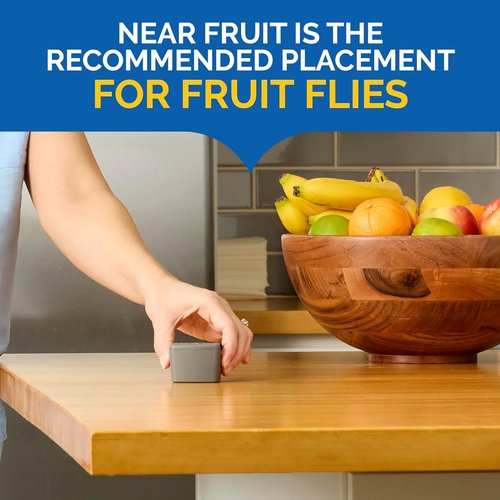 Hot Shot Flying Insect Trap - Discreet & Hassle-Free Solution for House & Fruit Flies | 6 Count