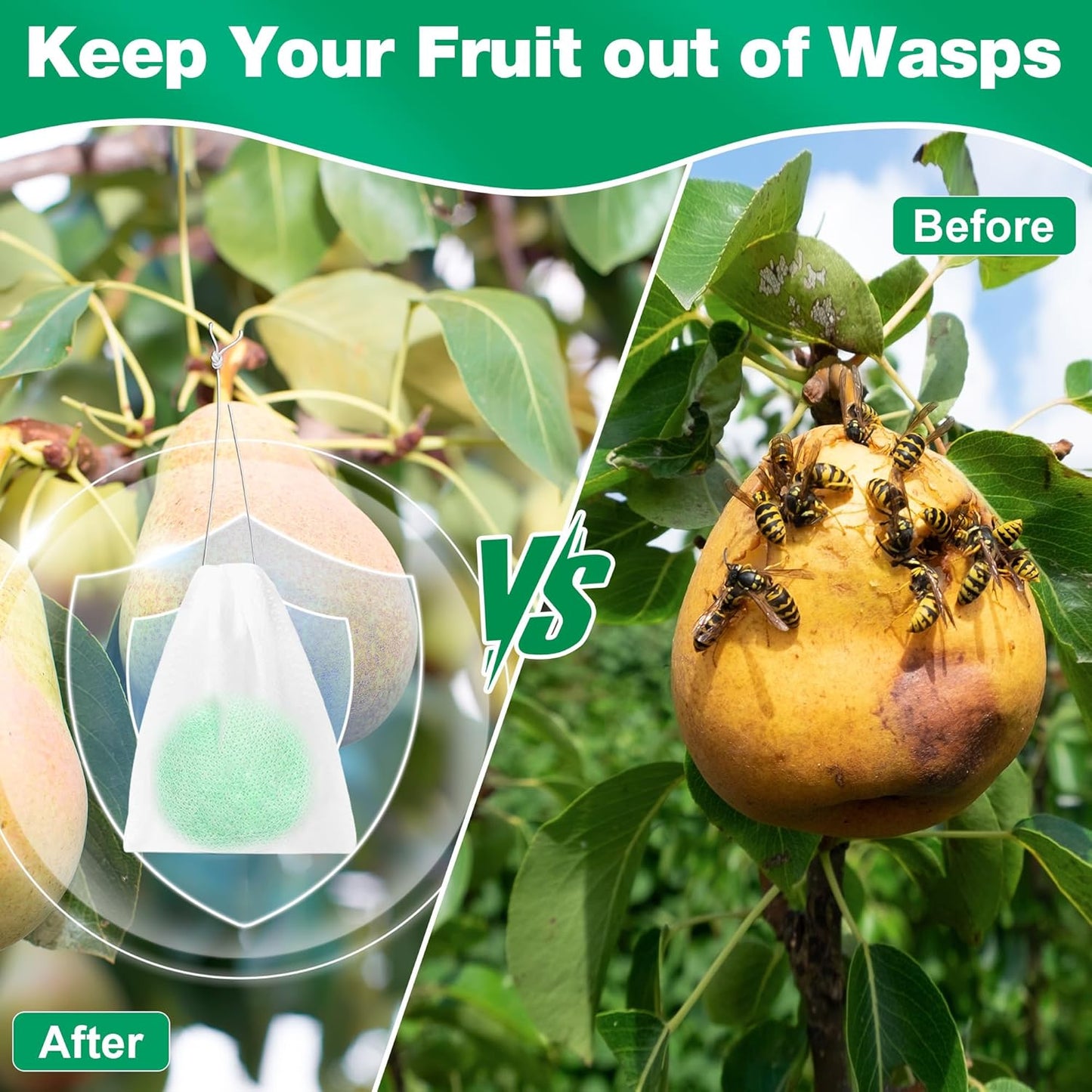 Skiennix Natural Wasp & Bee Repellent - Peppermint Oil Formula | 12 Pack, Safe for Pets & Humans