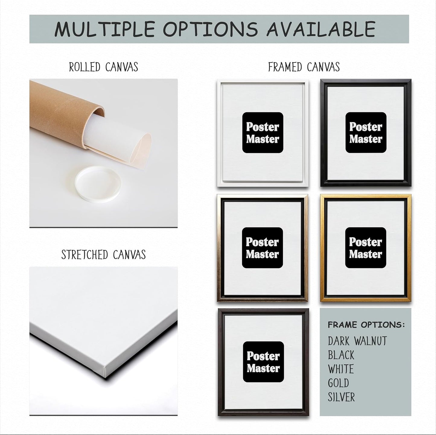 Poster Master Eye Chart & Rules Canvas - Humorous Bathroom Sign Print | Minimal Typography Decor - Available in 8x10 to 30x40