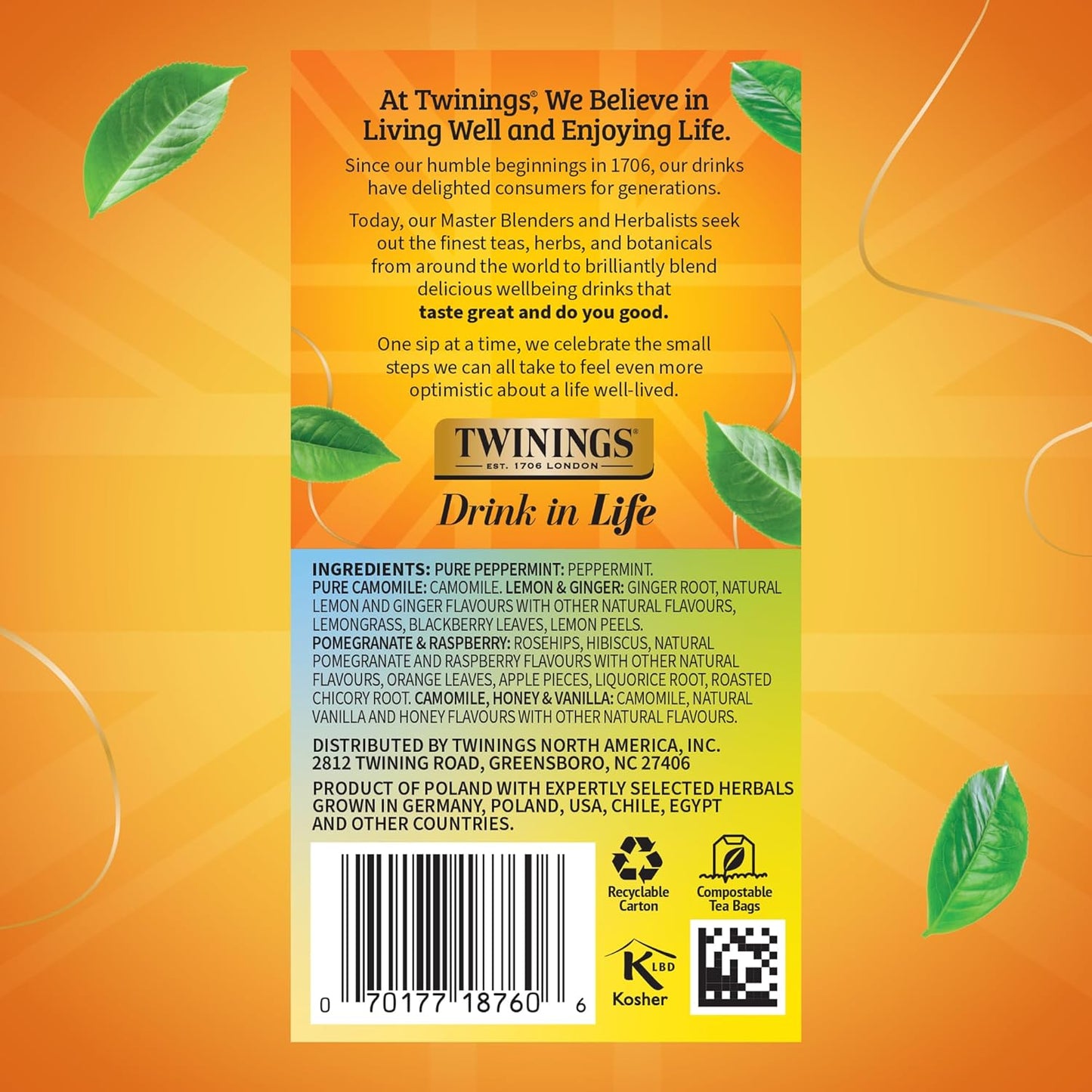 Twinings Herbal Tea Variety Pack - 20 Count (Pack of 6) | 5 Flavours, Naturally Caffeine-Free, Enjoy Hot or Iced