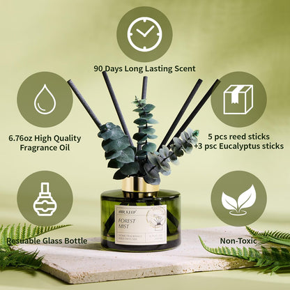 Airkeep Reed Diffuser Set - Forest Mist Scent with 6.76 Fl Oz Essential Oils | 3 Leaves & 8 Sticks for Home Decor