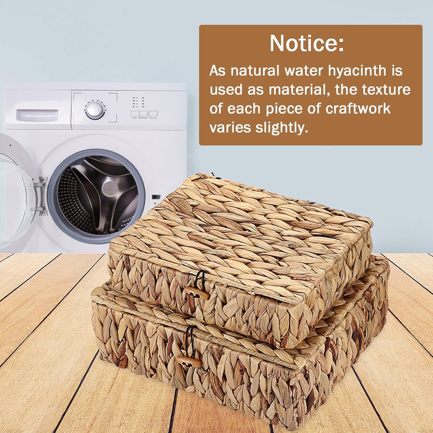 Regine Switzerland Set of 2 Handwoven Water Hyacinth Baskets - Decorative Storage Bins with Lids for Organizing