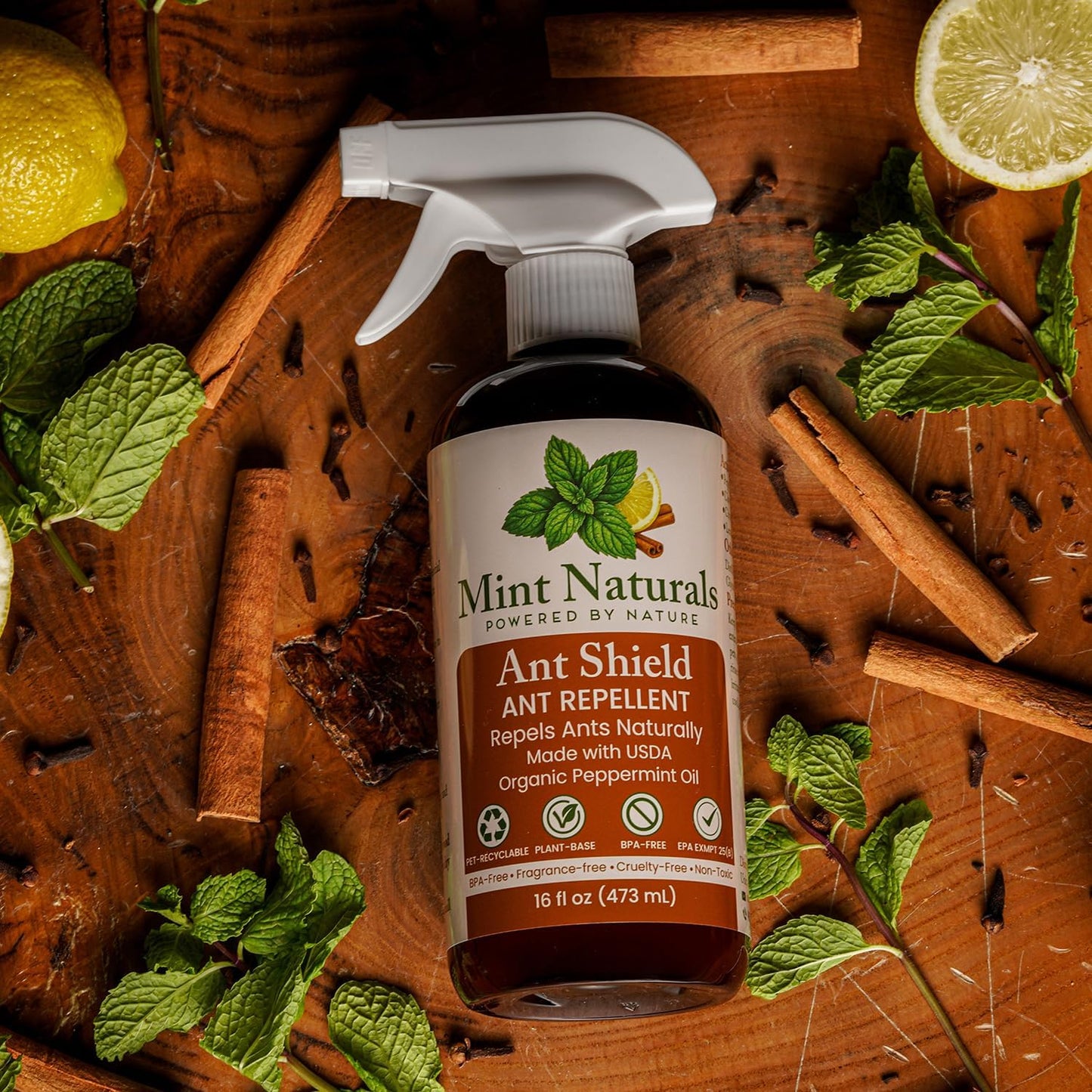 Mint Naturals Natural Ant Repellent Spray - USDA Organic Peppermint Oil Formula, 16 oz - Made in USA