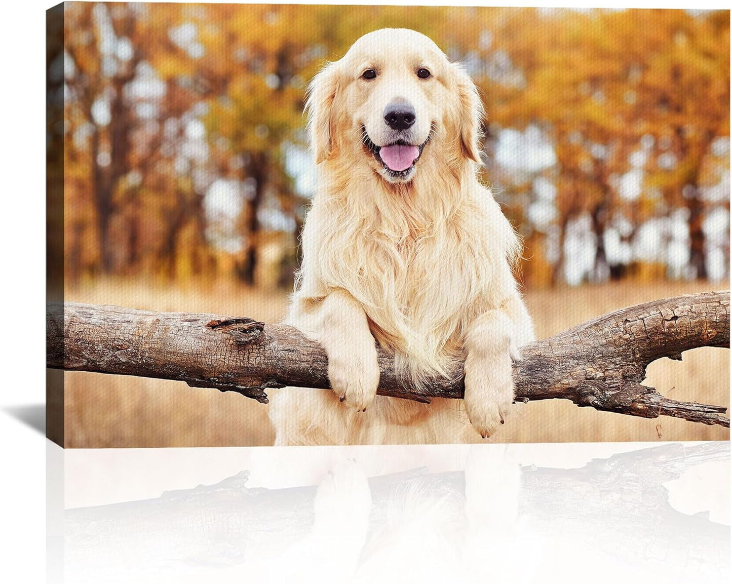 Skiennix Custom Canvas Prints - Personalized Photo Wall Art for Family & Pets | Framed 24x16