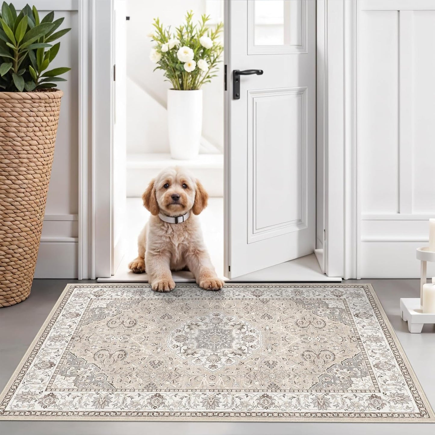 Regine Switzerland Washable 2x3 Entryway Area Rug - Soft Vintage Non-Slip Indoor Carpet in Beige