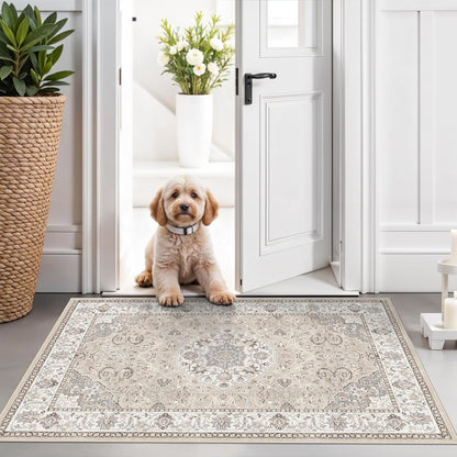 Regine Switzerland Washable 2x3 Entryway Area Rug - Soft Vintage Non-Slip Indoor Carpet in Beige