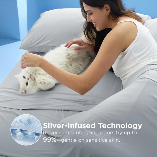 Bedsure Silver Infused Bed Sheets - Cooling Queen Sheet Set for Hot Sleepers | Ultra Soft & Silky Smooth, Light Grey, 4 Pieces, Deep Pocket Up to 16 Inches