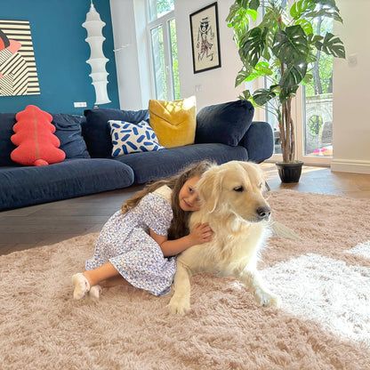 OLANLY Large Area Rug - Soft Fluffy Shaggy Carpet for Living Room & Bedroom | 8x10, Beige