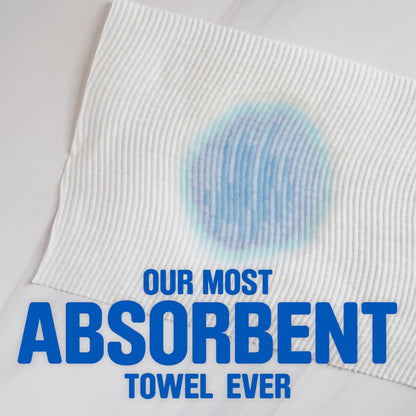 Scott Paper Towels, Choose-A-Sheet, 12 Double Rolls = 24 Regular Rolls (100 Sheets Per Roll)