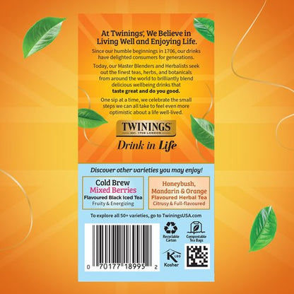 Twinings Peach Cold Brew Iced Tea Bags, 20 Count (Pack of 6), Unsweetened Flavoured Black Tea, Caffeinated, 120 Teabags