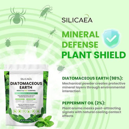 Diatomaceous Earth - Natural Peppermint Powder, 1 lb | Safe for Home & Garden Use