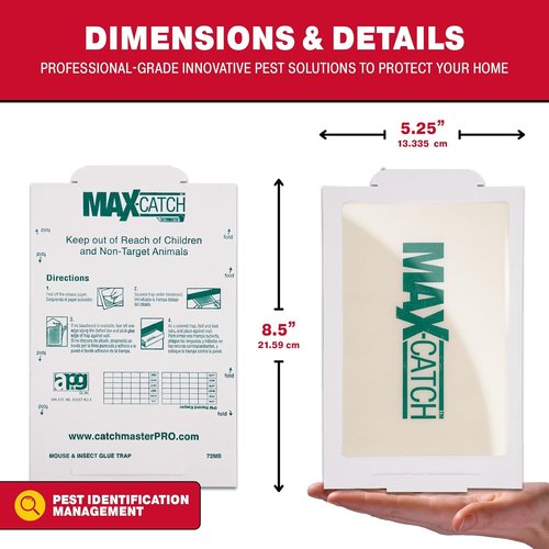 Catchmaster Max-Catch Mouse & Insect Glue Traps - 36 Pack Sticky Pest Control for Home Use