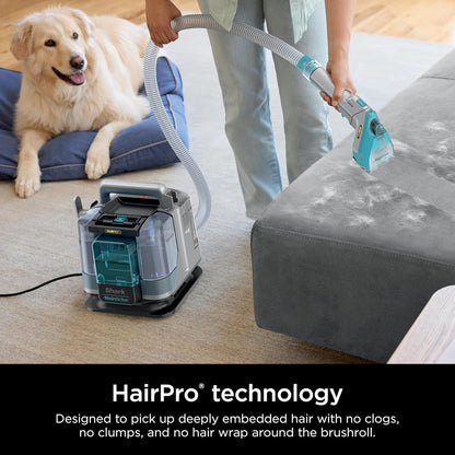 Shark StainStriker HairPro Portable Carpet Cleaner - Stain, Hair & Odor Remover with 3 Tools | Teal PX253BRN