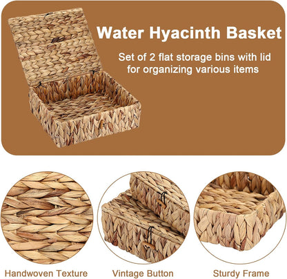 Regine Switzerland Set of 2 Handwoven Water Hyacinth Baskets - Decorative Storage Bins with Lids for Organizing