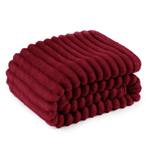 Bedsure GentleSoft Red Twin Blanket for Bed - Cozy Soft Blankets for Women, Cute Large Throws for Girls, 66x90 Inches
