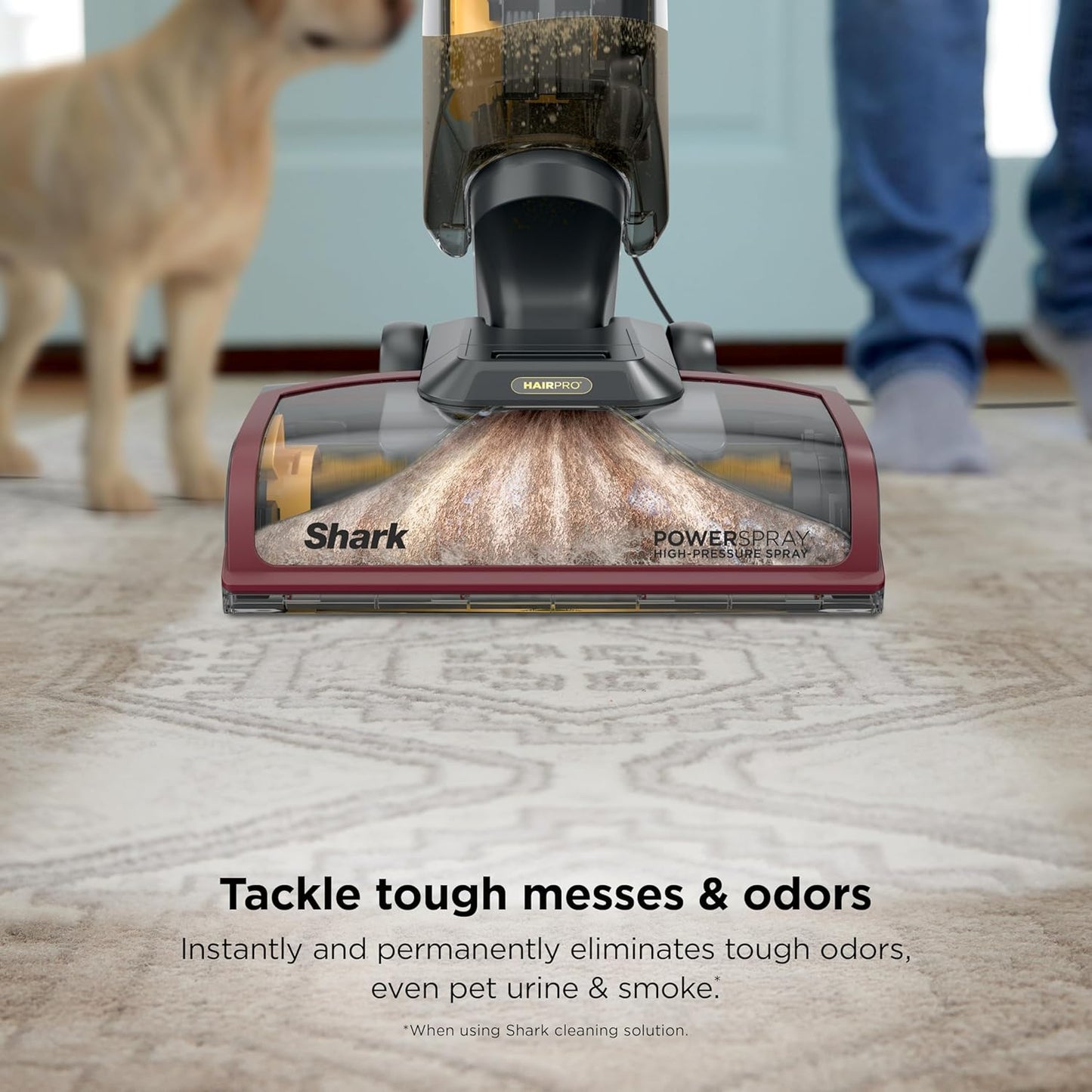 Shark CarpetXpert HairPro - Upright Carpet & Area Rug Cleaner for Pets | Effective Odor Removal | Magenta