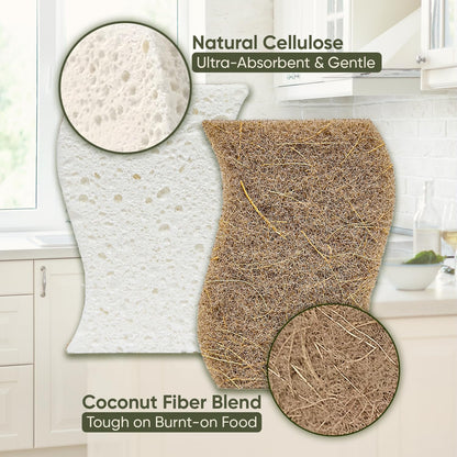 Plant-Based Kitchen Sponges - Eco-Friendly Natural Cellulose & Coconut Scrubber | 12 Pack | USDA Biobased Certified